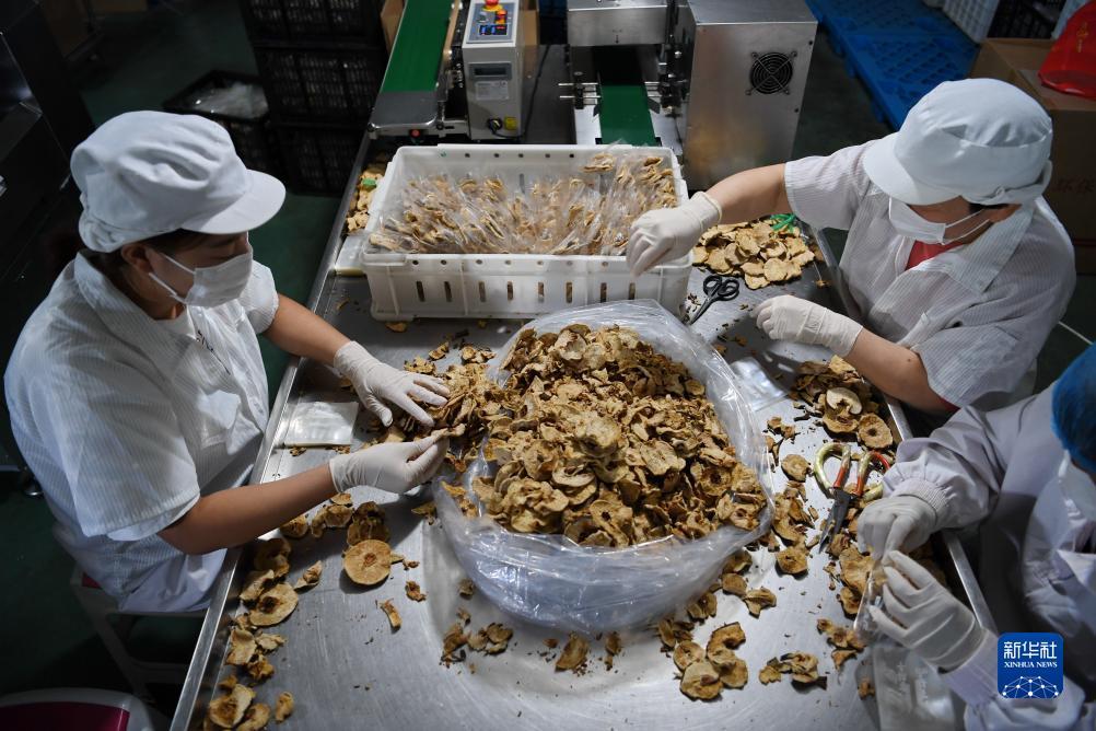 大力菠菜网更名